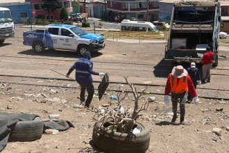 WhatsApp Image 2026-02-25 at 15.17.58.jpeg